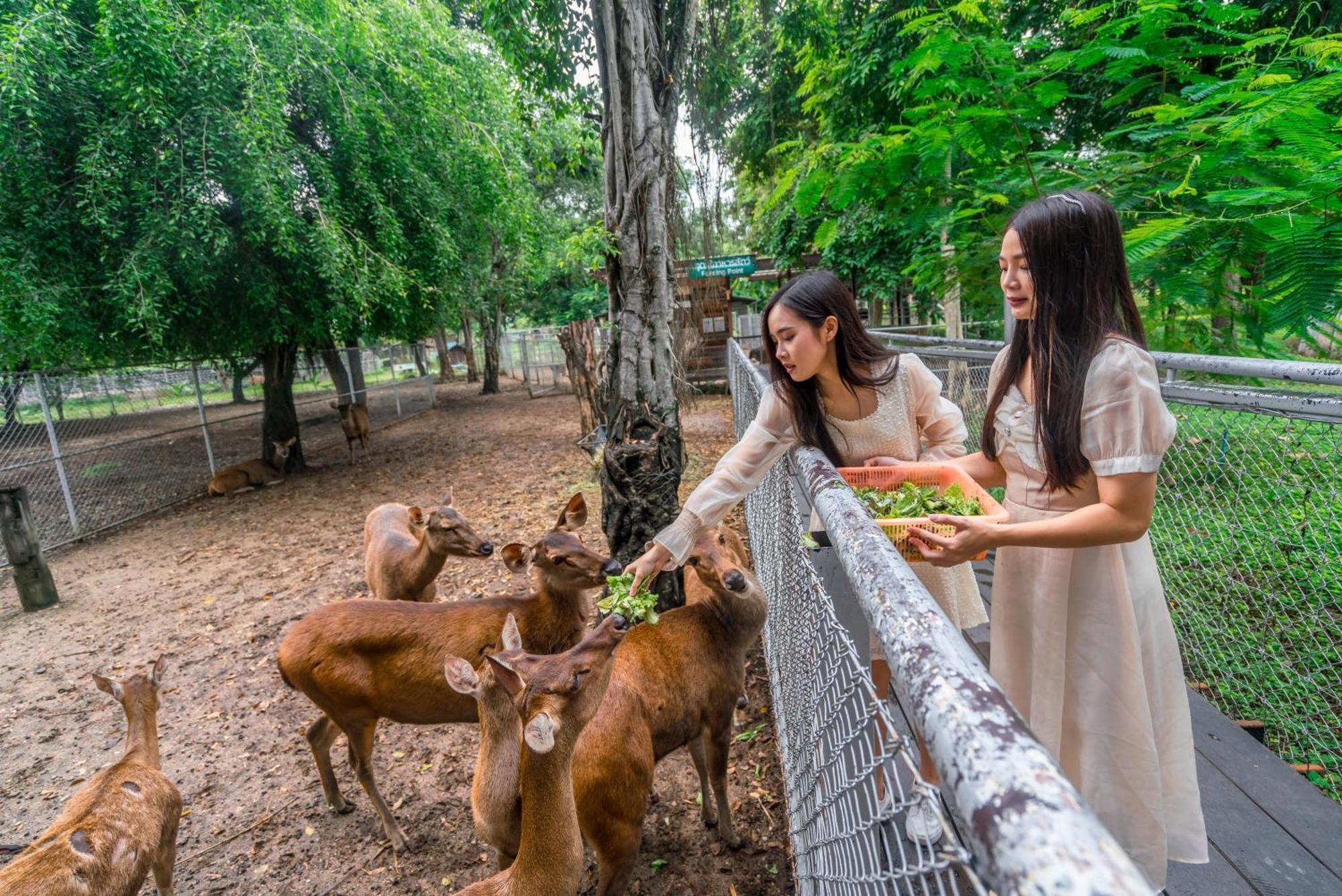Horizon Village & Resort Doi Saket Dış mekan fotoğraf
