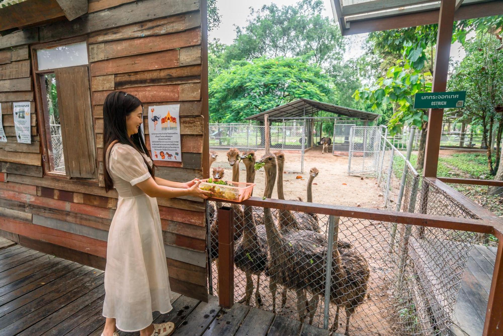 Horizon Village & Resort Doi Saket Dış mekan fotoğraf